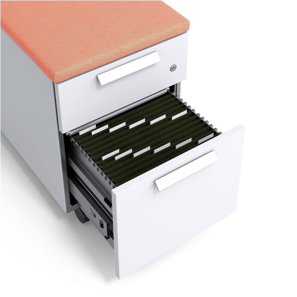 Salmon 2-Drawer Mobile Pedestal H313