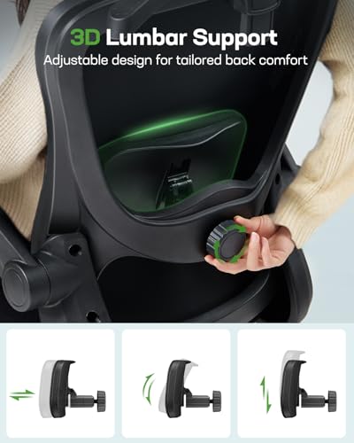 Ergonomic Office Chair with 3D Lumbar Support, Headrest, Flip-Up Armrests, High Back, Thick Cushion U1113
