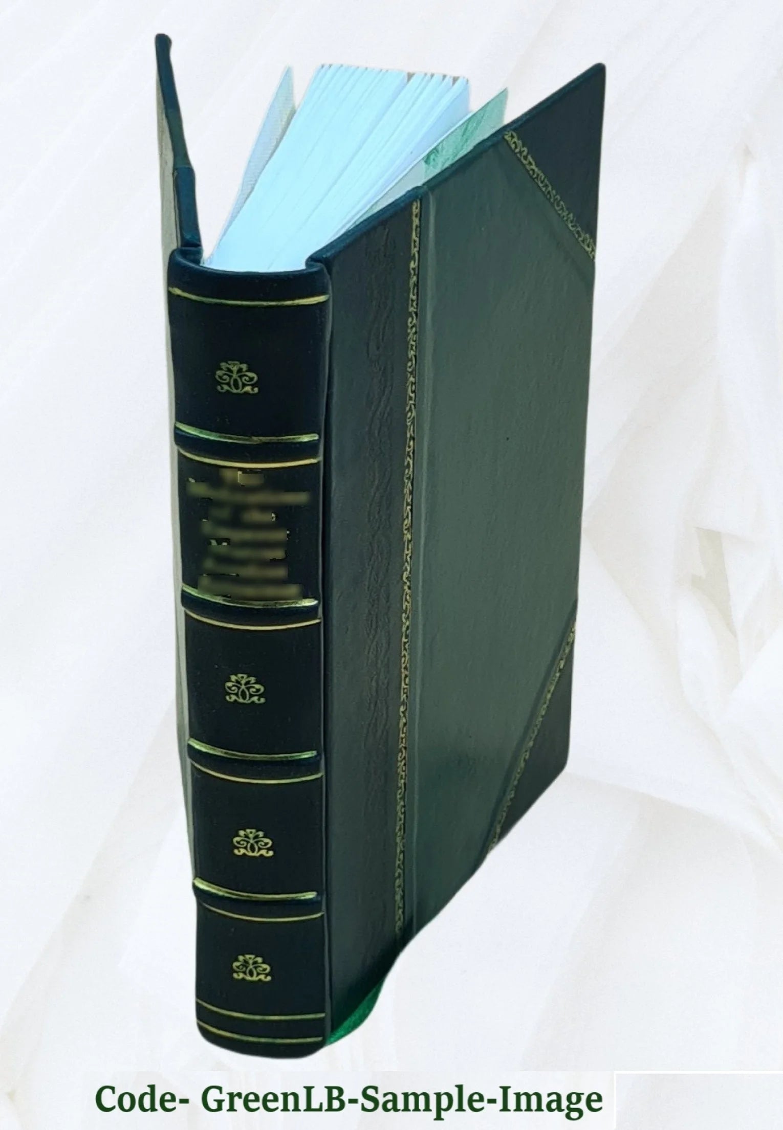 Western grazing grounds and forest ranges; a history of the live-stock industry as conducted on the open ranges of the arid West with particular reference to the use now being made M384