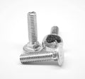 1/2x22-13 x 6x22 (FT) Coarse Thread Carriage Bolt Stainless Steel 316 W26671