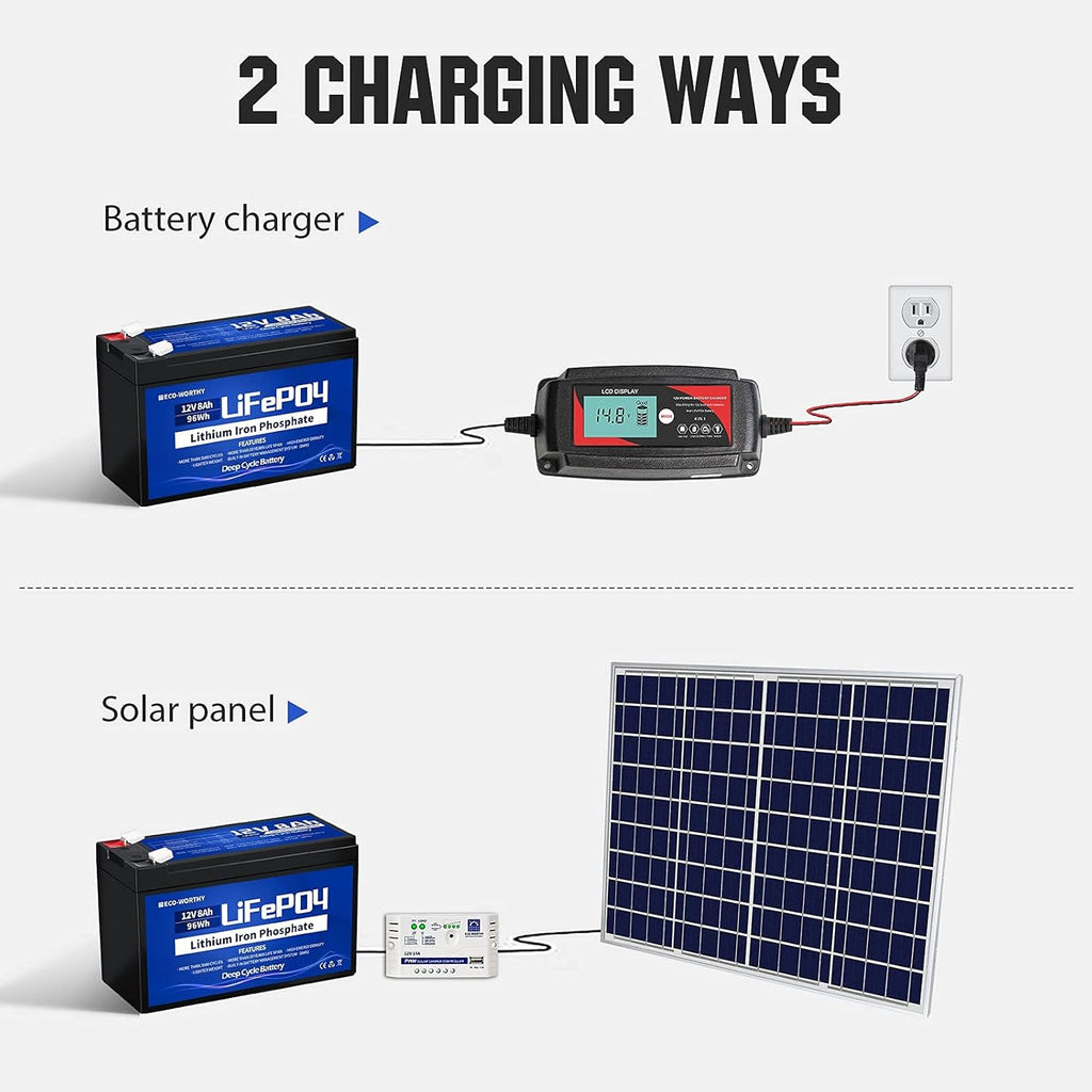 12V 8Ah LiFePO4 Lithium Iron Phosphate Battery Pack of 2 Y59365