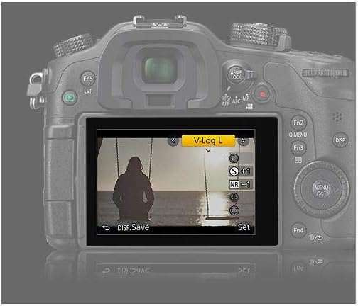 V-LOG L Firmware Upgrade for GH4 Camera L200