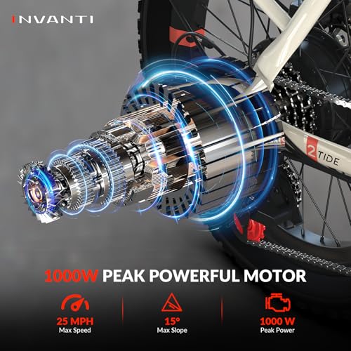 20" Step-Thru Fat Tire Electric Bike with Rear Rack, 7-Speed, Front Suspension G566449