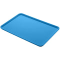 Blue 18 x 26 Fiberglass Market Tray Z794870