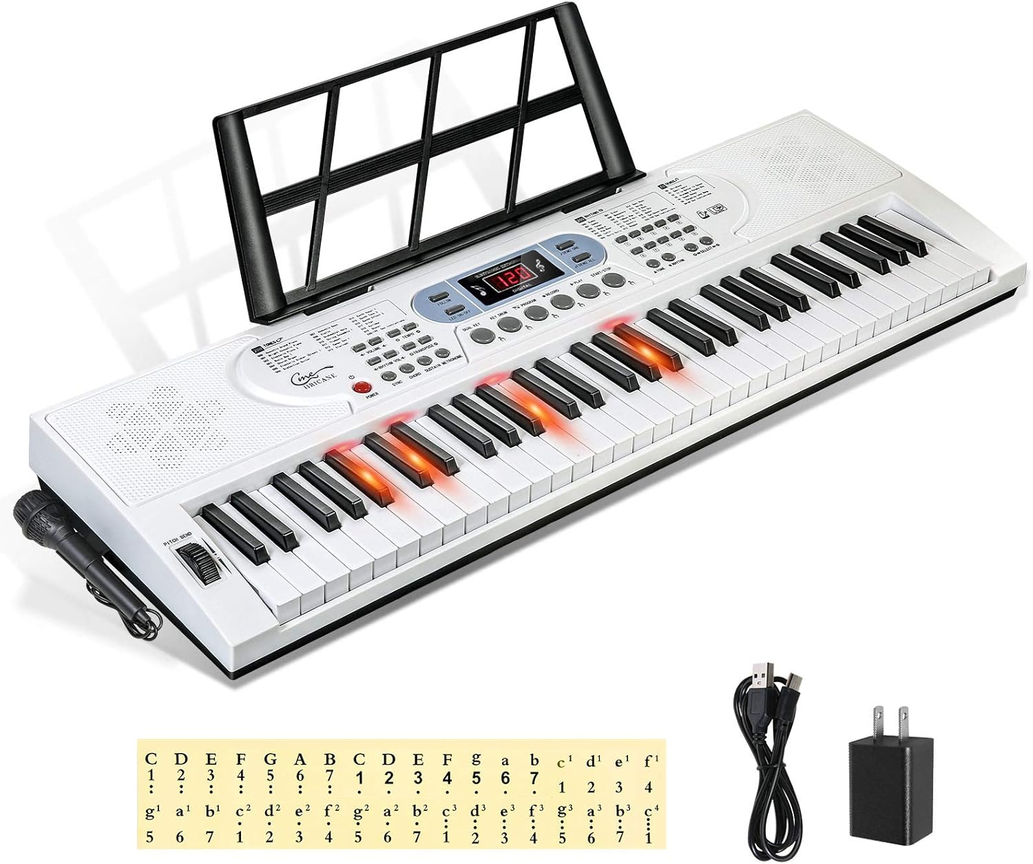 61 Key Lighted Keys Electronic Keyboard Piano with Microphone E4159