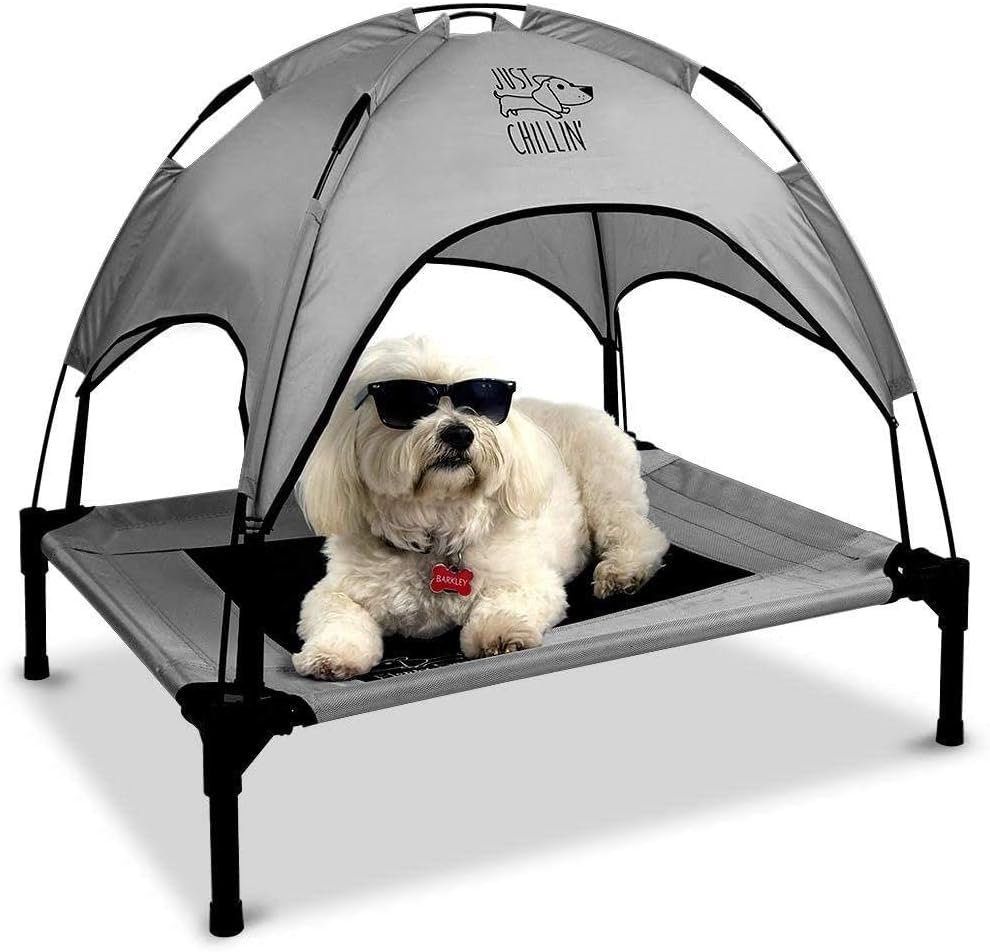 Elevated Dog Bed with Removable Canopy Shade Q212
