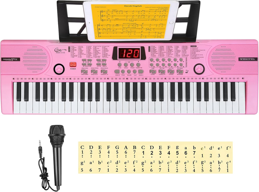 61 Key Lighted Keys Electronic Keyboard Piano with Microphone E4159