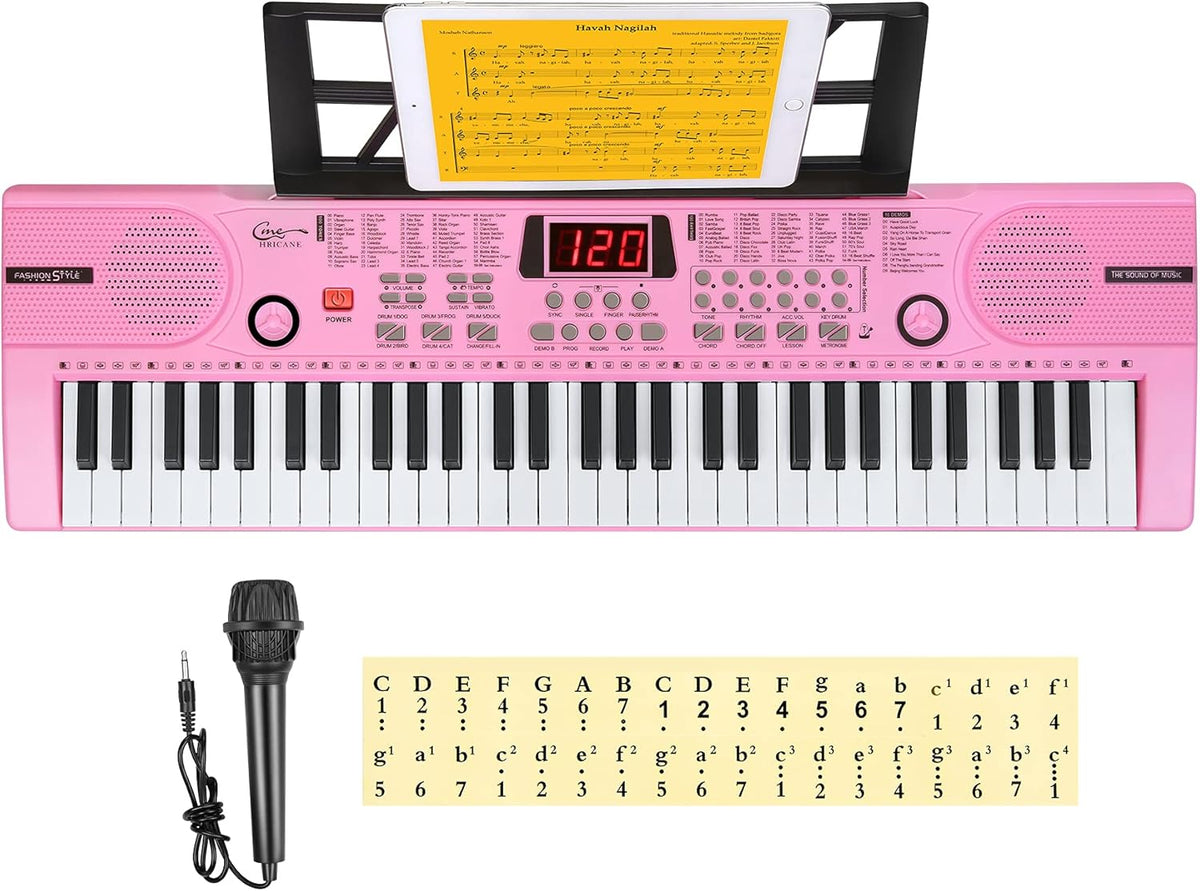 61 Key Lighted Keys Electronic Keyboard Piano with Microphone E4159