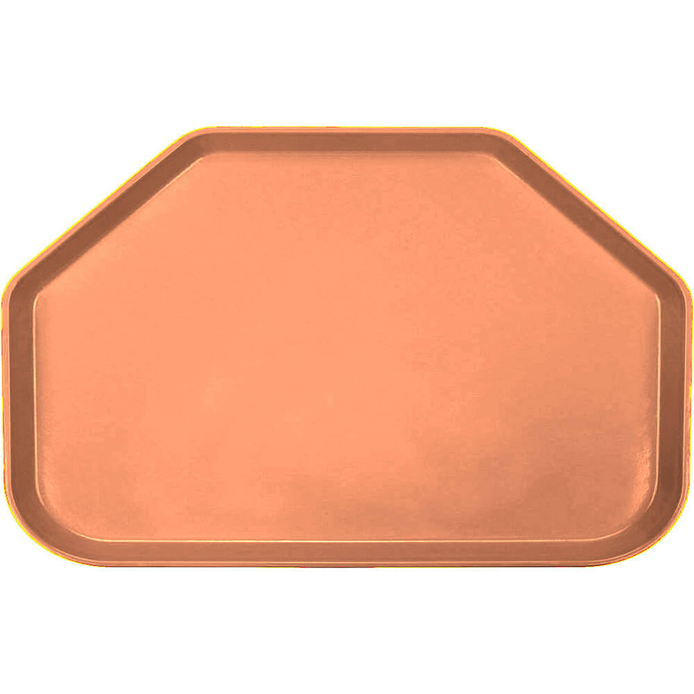 Trapezoid 14x22 Camtray I110910