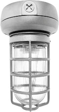 CFL Ceiling Light with Glass Globe S577