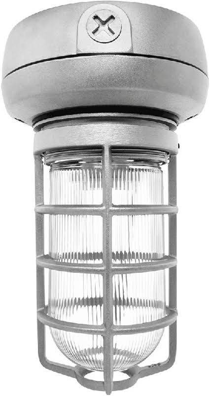 CFL Ceiling Light with Glass Globe S577
