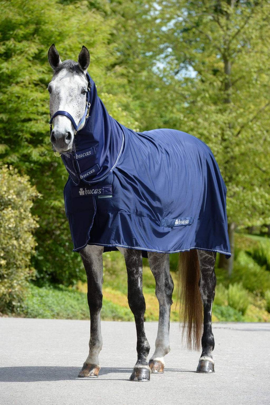 Navy Full Neck 168 Horse Rug G996215
