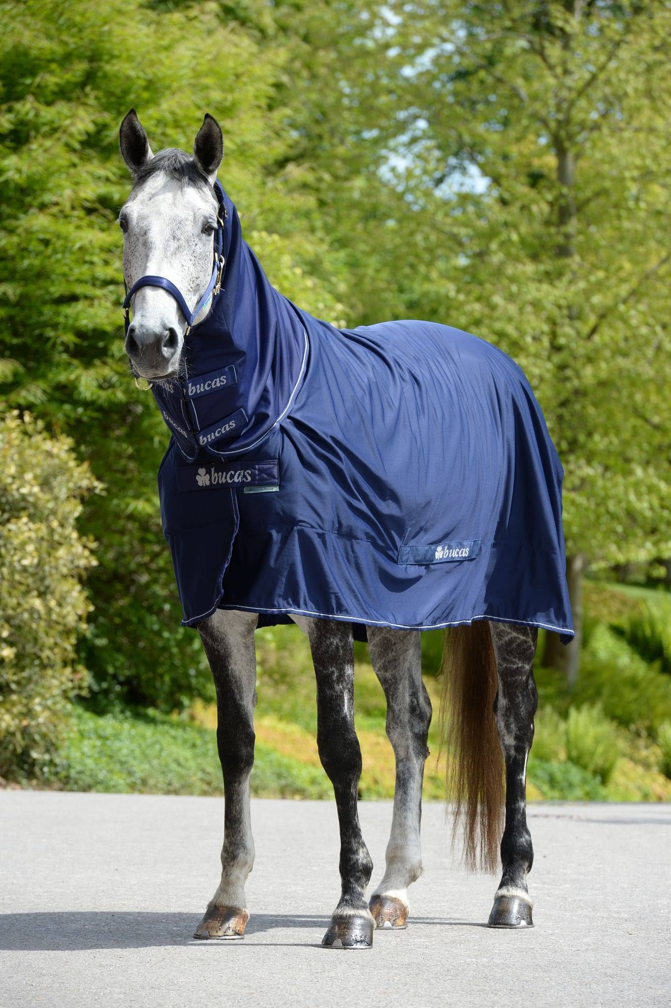 Navy Full Neck 168 Horse Rug G996215