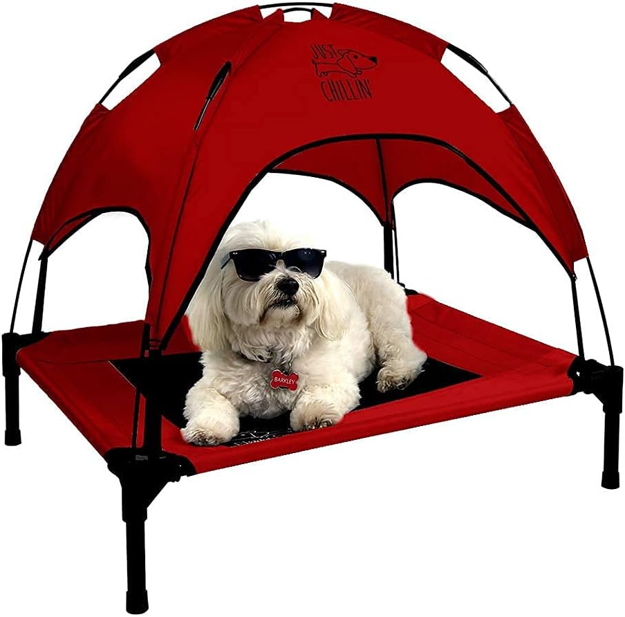 Elevated Dog Bed with Removable Canopy Shade Q212
