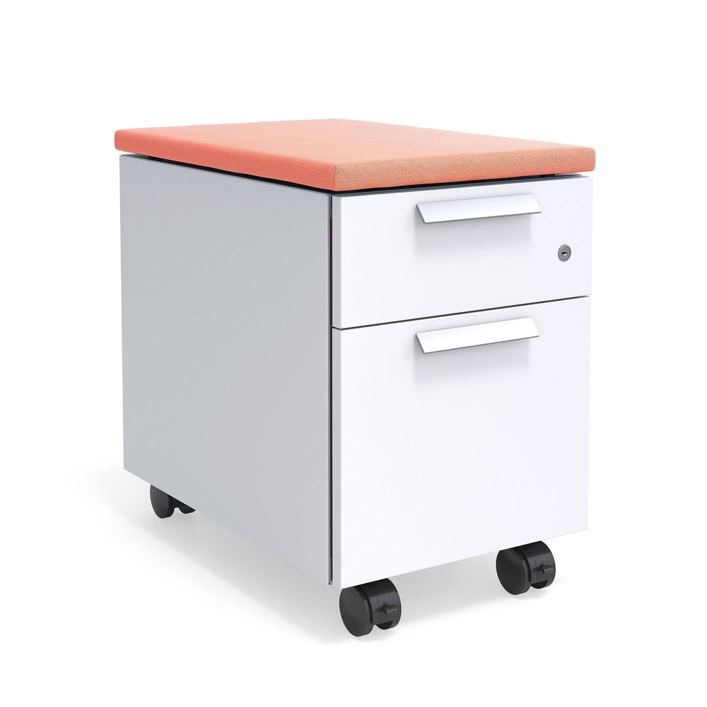 Salmon 2-Drawer Mobile Pedestal H313