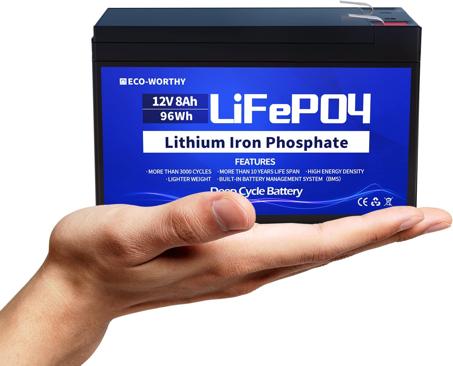 12V 8Ah LiFePO4 Lithium Iron Phosphate Battery Pack of 2 Y59365