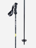 Ski Poles X127901