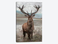 Canvas Wall Decor Prints Q7128