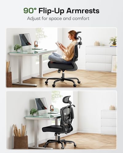 Ergonomic Office Chair with 3D Lumbar Support, Headrest, Flip-Up Armrests, High Back, Thick Cushion U1113
