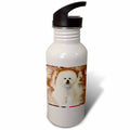 Sports Water Bottle 21oz B63998