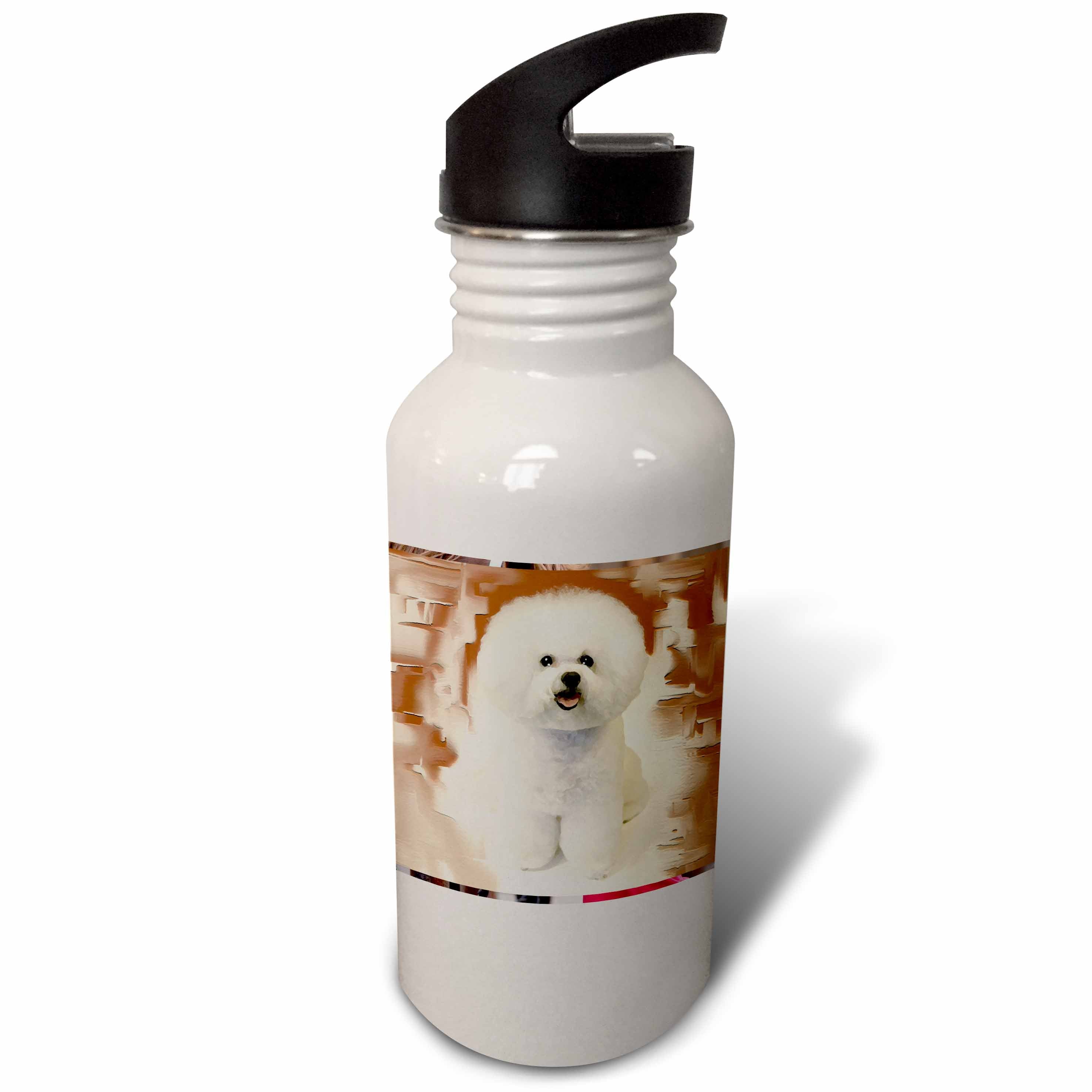 Sports Water Bottle 21oz B63998
