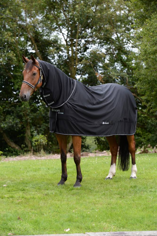 Navy Full Neck 168 Horse Rug G996215