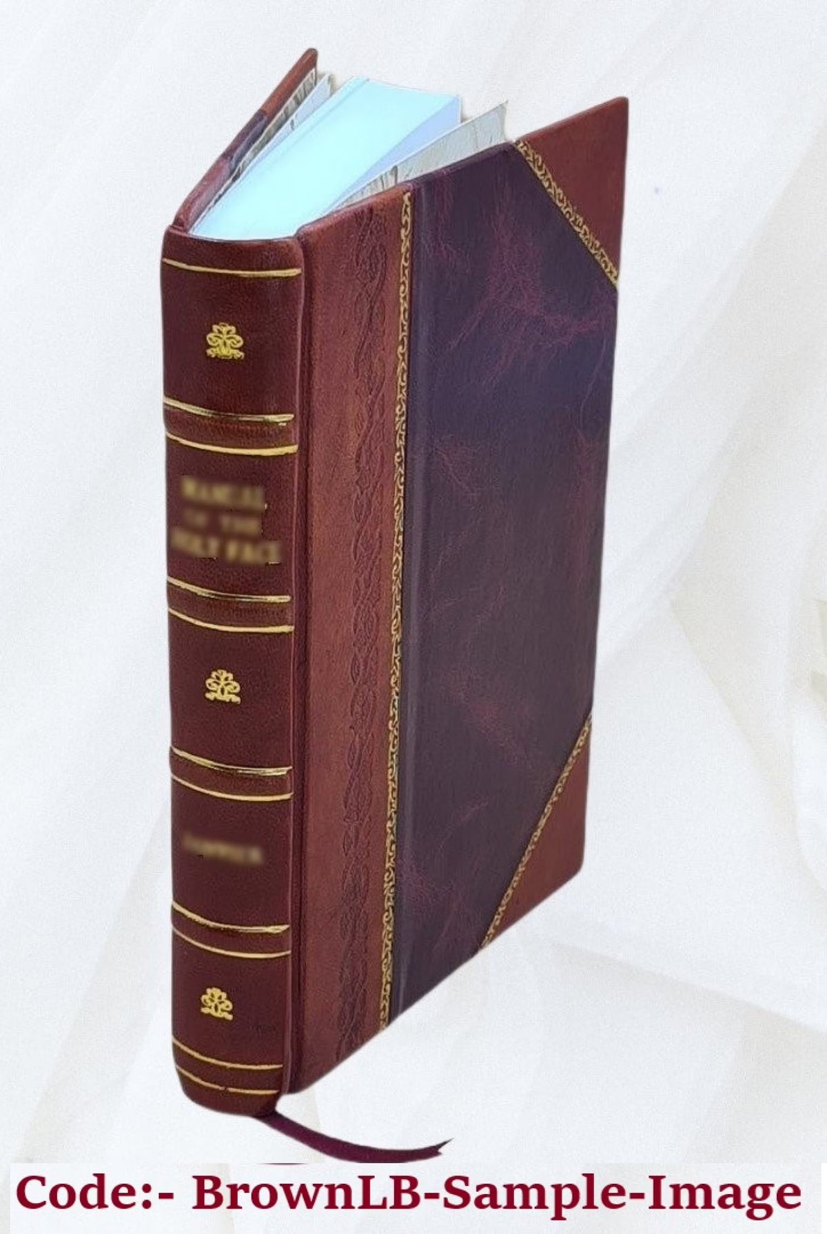 Leather Bound Book B3105