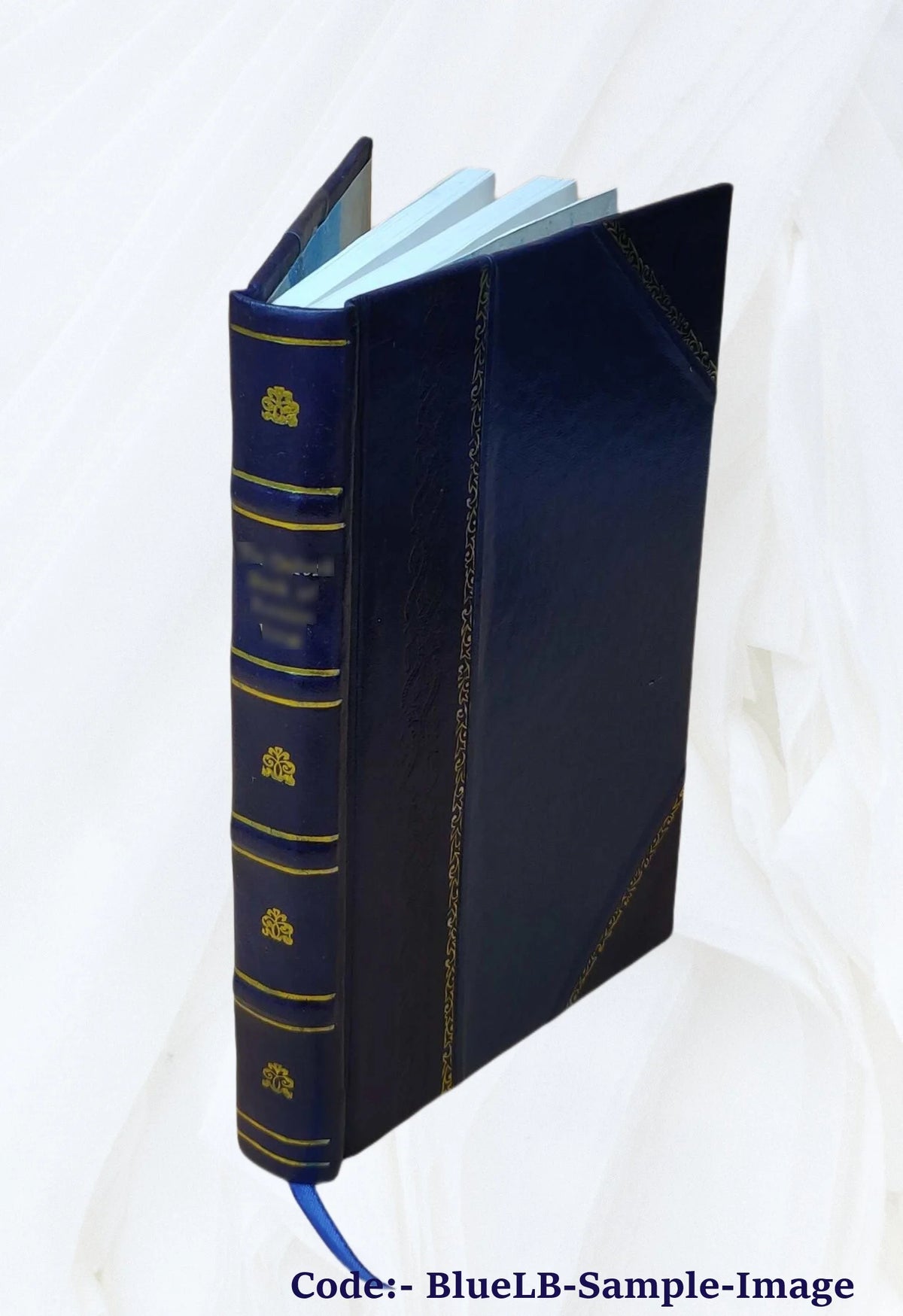 Leather Bound Book G825