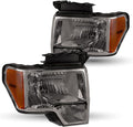 Headlight Assembly Set for Ford F150 D153191