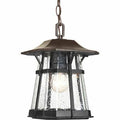 1-Light Casual Hanging Lantern D67231