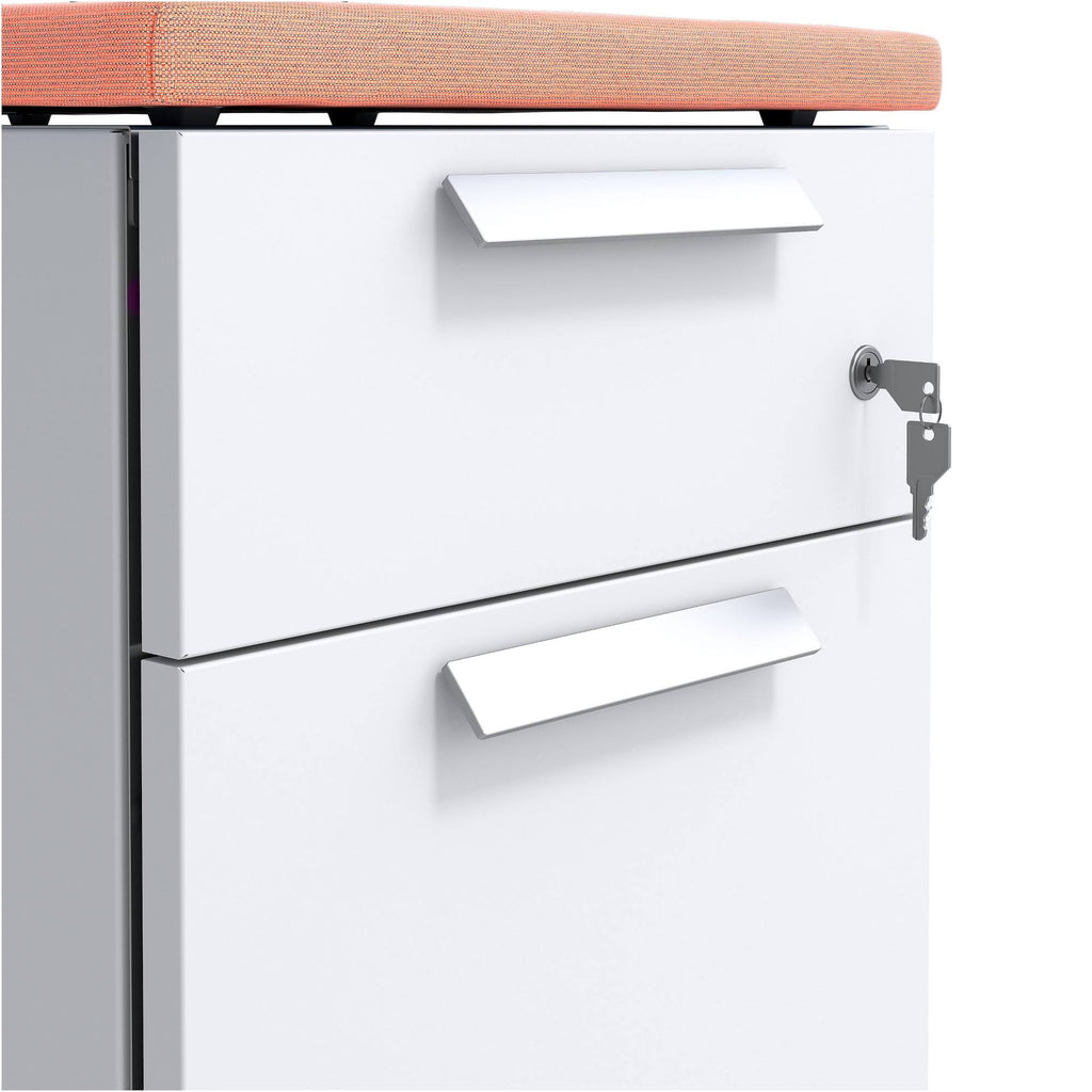Salmon 2-Drawer Mobile Pedestal H313