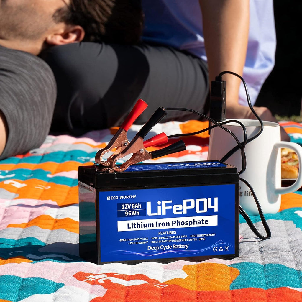 12V 8Ah LiFePO4 Lithium Iron Phosphate Battery Pack of 2 Y59365
