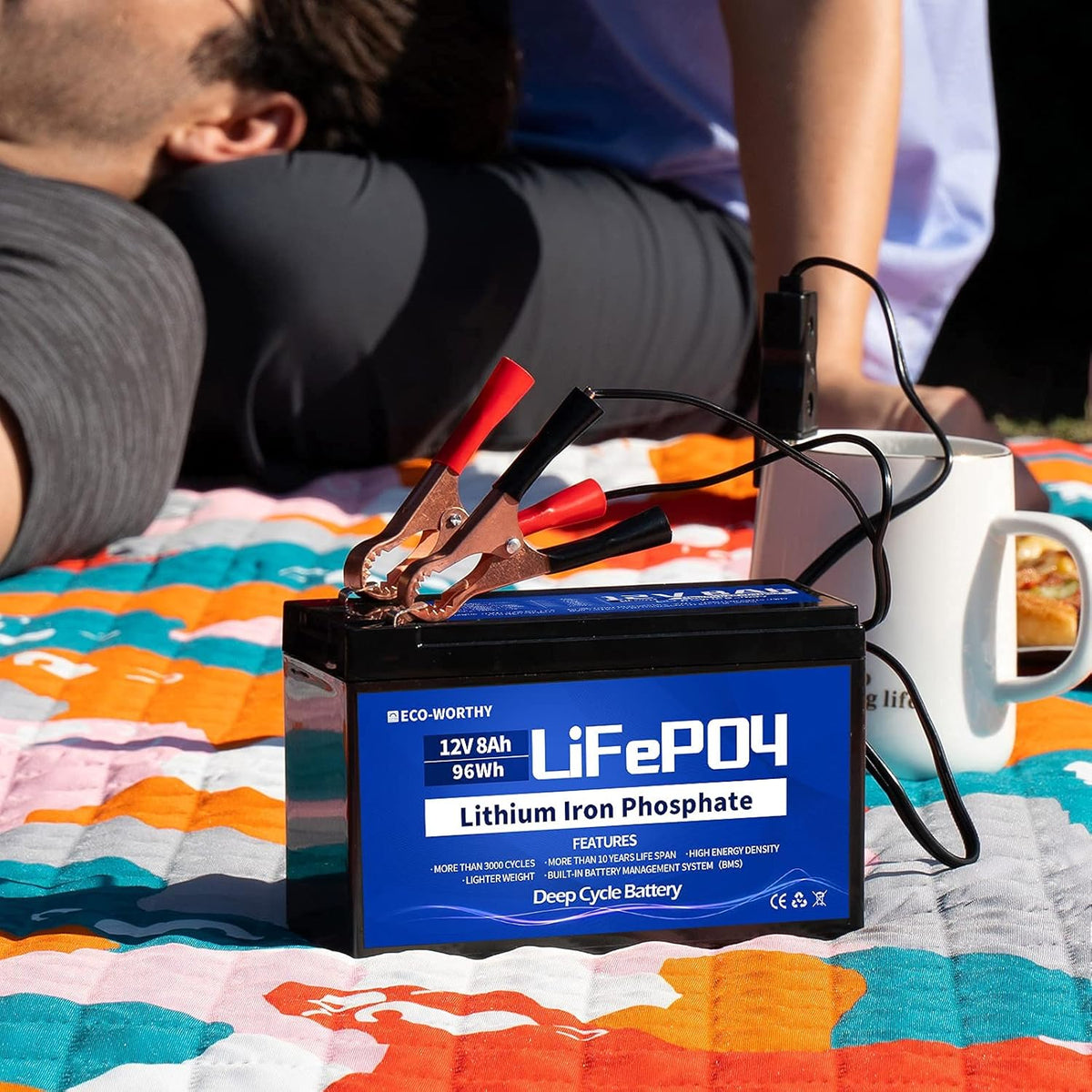 12V 8Ah LiFePO4 Lithium Iron Phosphate Battery Pack of 2 Y59365