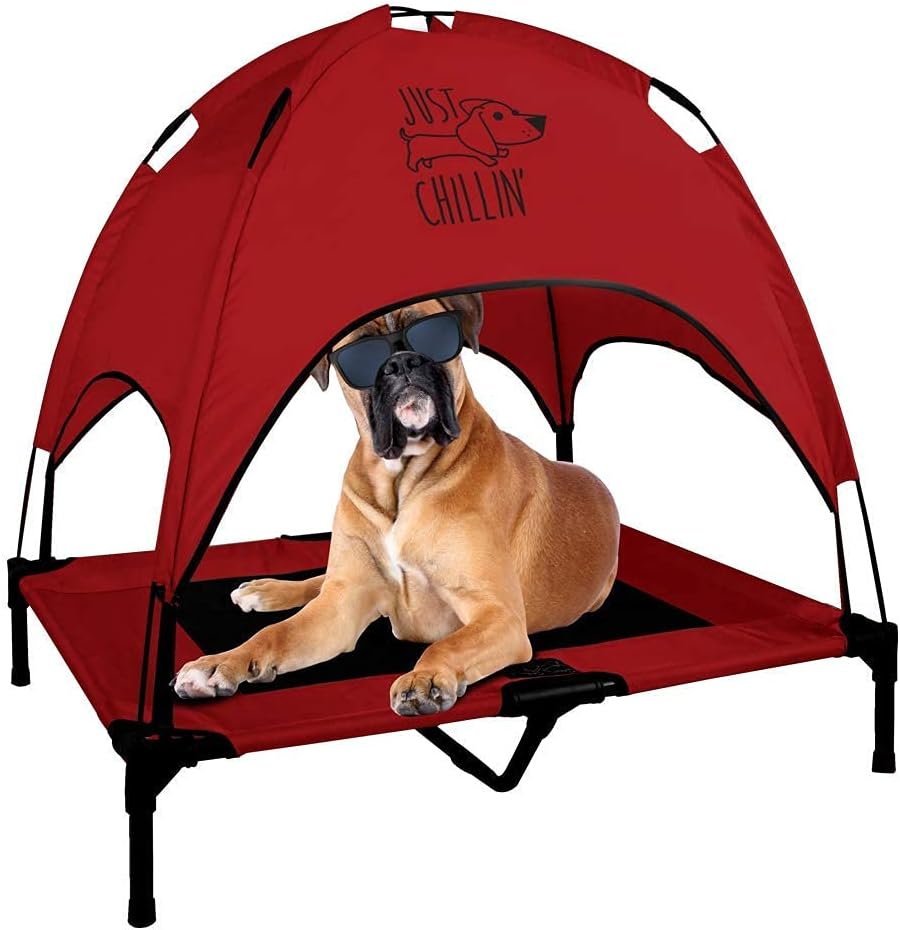 Elevated Dog Bed with Removable Canopy Shade Q212