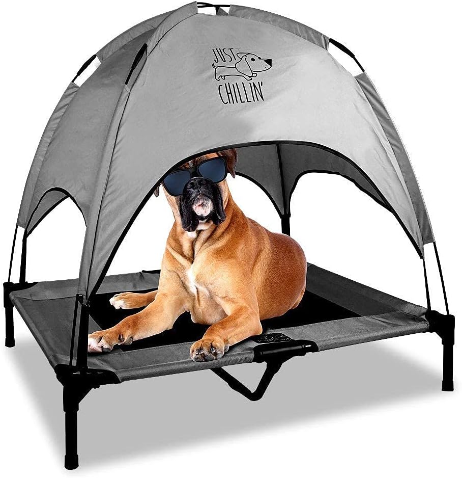 Elevated Dog Bed with Removable Canopy Shade Q212