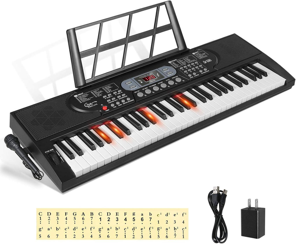 61 Key Lighted Keys Electronic Keyboard Piano with Microphone E4159