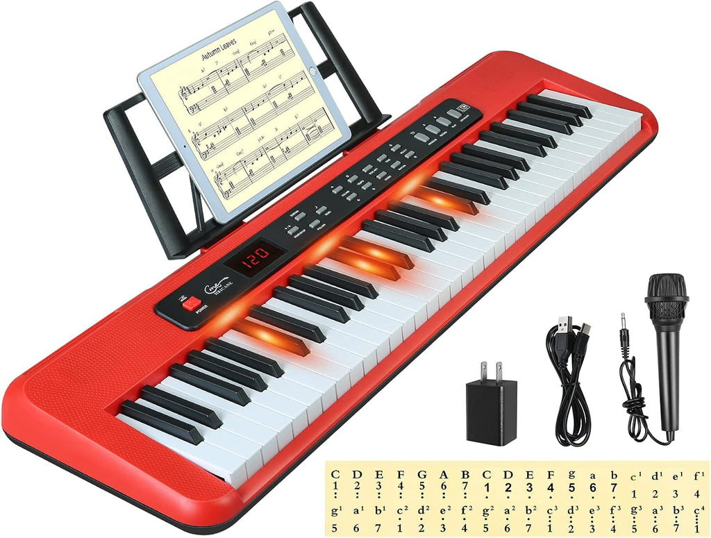 61 Key Lighted Keys Electronic Keyboard Piano with Microphone E4159
