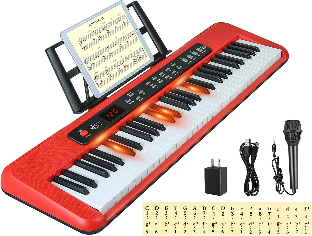 61 Key Lighted Keys Electronic Keyboard Piano with Microphone E4159