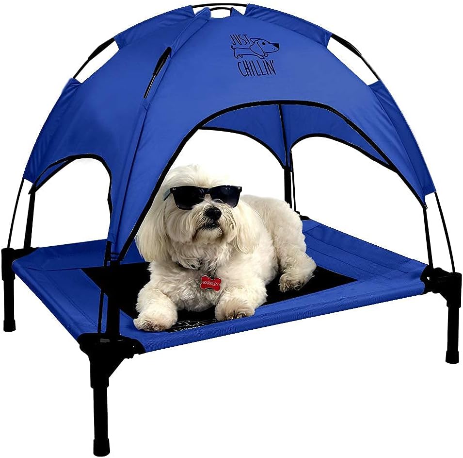 Elevated Dog Bed with Removable Canopy Shade Q212
