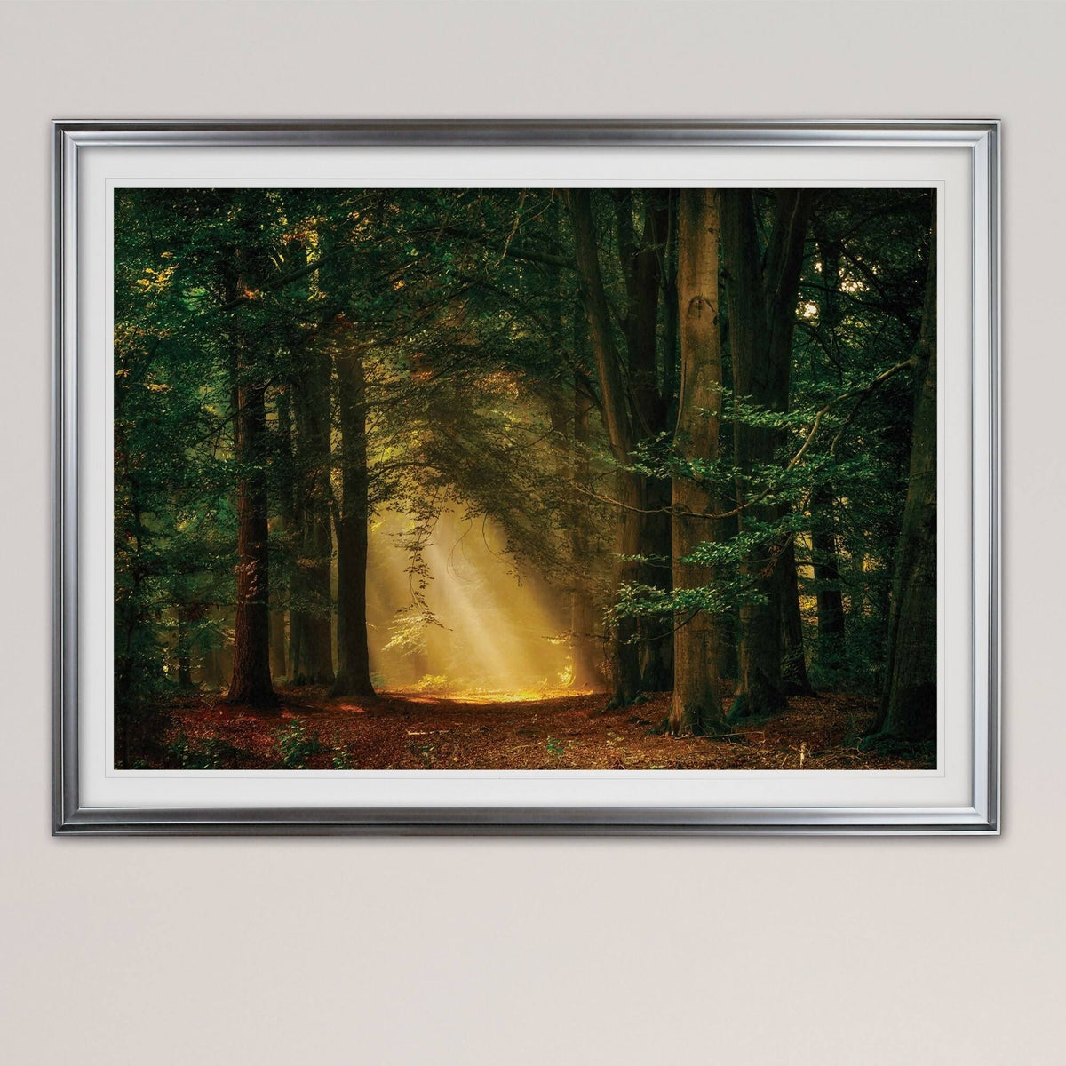 Oversized Framed Print Gold G8474