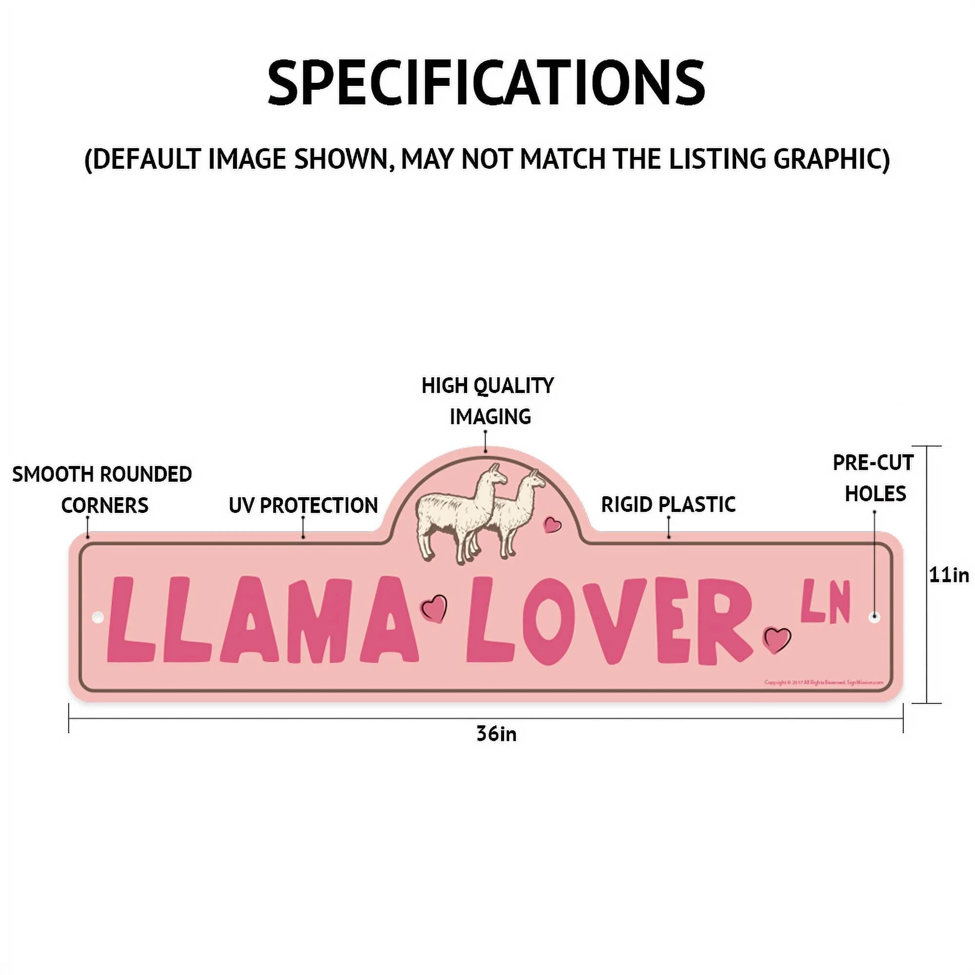 Skiing Skier Snowboarder Décor Sign G37386