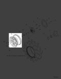 14X7 Wheel P313254