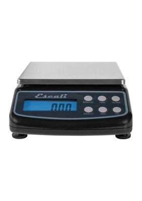 600 Gr High Precision Scale C631