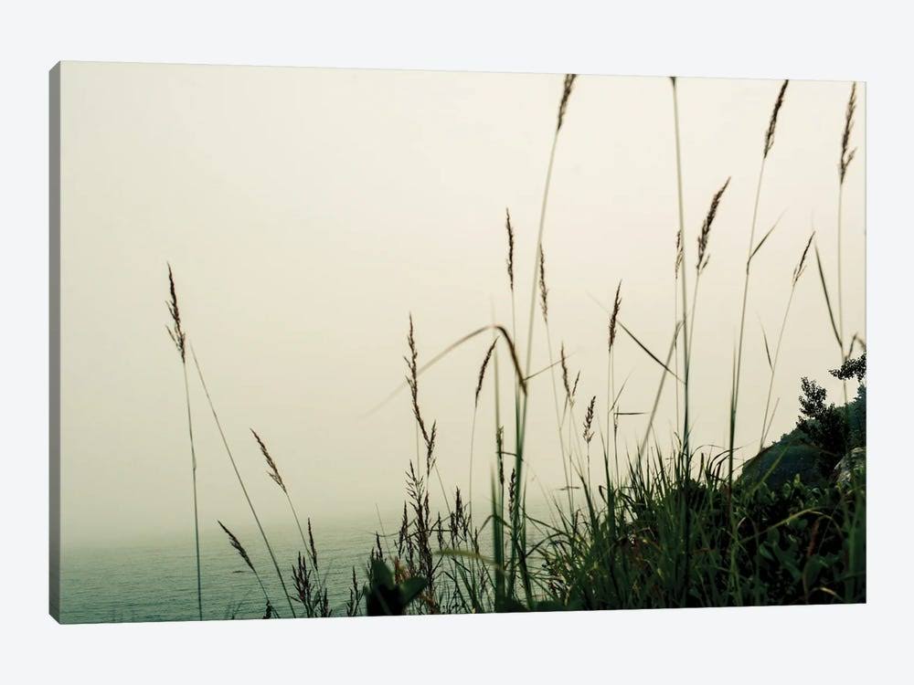 Canvas Prints - Foggy Coast D138