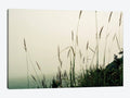 Canvas Prints - Foggy Coast D138