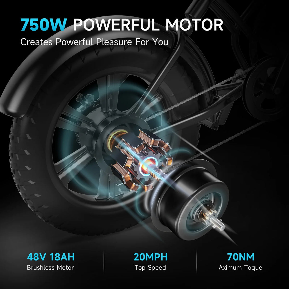 Electric Bike 20" Fat Tire Ebike with 750W Brushless Motor, 48V 18Ah Removable Battery Z304460