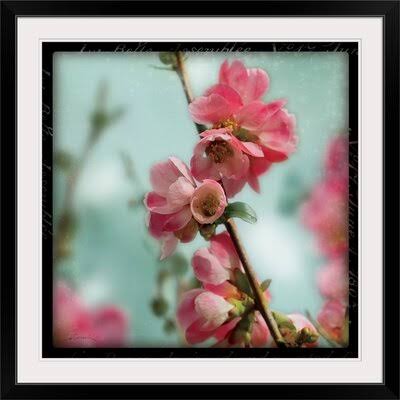 Photographic Print P371571