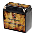 Motorcycle Battery 12 Volt 12 Ah 200 CCA Z6561