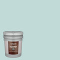 Satin Mint Exterior Paint (5-Gallon) F992