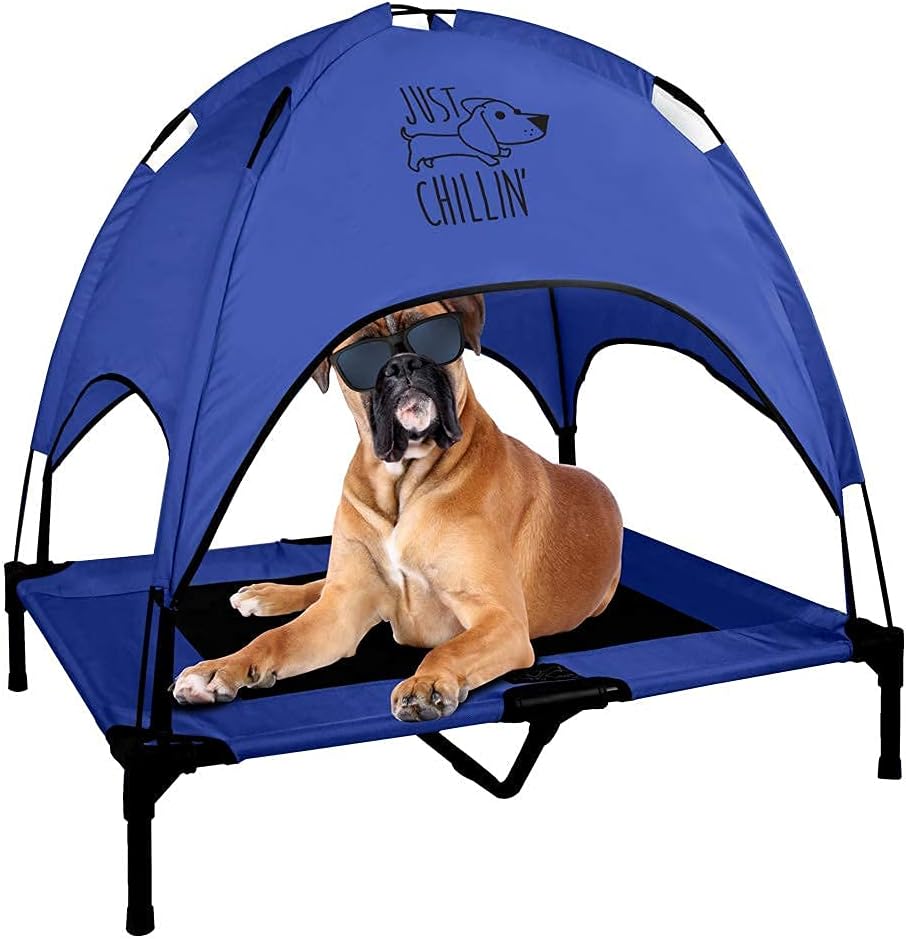 Elevated Dog Bed with Removable Canopy Shade Q212